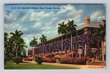 Hialeah FL-Florida, Beautiful Hialeah Race Course, Vintage Postcard picture