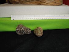 Native American Beautiful Speckled Gneiss Head and matching atlatl weight. picture