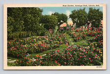 c1940 Linen Postcard Lincoln NE Nebraska Antelope Park Rose Garden Flowers picture