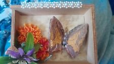 Handcrafted Wonderstone BUTTERFLY 🦋 & Toadstool In A Shadowbox W/ Flowers 6