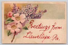 Postcard Greetings From LLewellyn, Pennsylvania, 1907, Embossed A834 picture