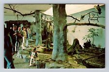 Wheeling WV-West Virginia, Oglebay's Good Zoo, Waterfowl Area Vintage Postcard picture