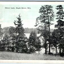 c1920s Eagle River, Wis Silver Lake Trees EC Kropp Litho Photo Postcard WI A170 picture