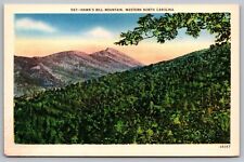Hawks Bill Mountain Western North Carolina Birds Eye View Forest Linen Postcard picture