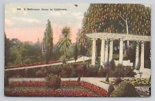 A Midwinter Scene in California c1910 Antique Postcard picture