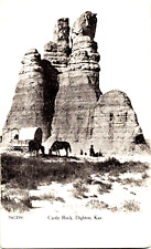 Vintage Lithograph Postcard Dighton, Kansas or Quintar, Kansas Wagon Horse 1908 picture