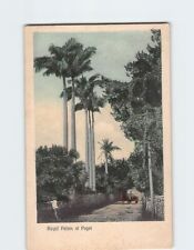 Postcard Royal Palms at Paget Bermuda British Overseas Territories picture
