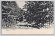 Automobile Between Railroad Station Pocono Pennsylvania c1910 Antique Postcard picture