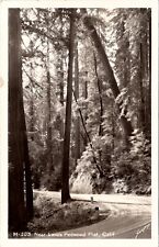 California Near Lane's Redwood Flat RPPC Sawyers Postcard Z27 picture