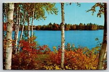 Postcard MN St Paul Theo Hamm Brewing Co Lake View A28 picture
