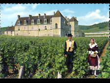 CHATEAU du CLOS VOUGEOT (21) COUPLE in costume in the VINES picture