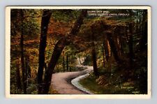 Ithaca NY-New York, Cornell University, Goldwin Smith Walk Vintage Postcard picture