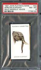 1931 JOHN PLAYER WILD ANIMALS HEADS #20 AFRICAN ELEPHANT PSA 8 *DS9394 picture
