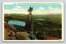 Grand Mesa Island Ward Lakes Alexander Slough WB Postcard PM Grand Junction CO picture