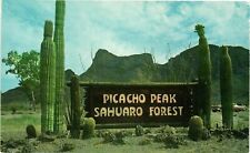 Vintage Postcard- P21697. PICACHO PEAKS, AZ SAHUARO FOREST. UnPost 1960 picture