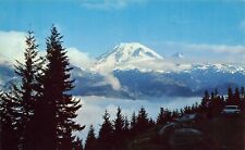 Mt Mount Rainier WA Washington Puget Sound Stevens Canyon Road Vtg Postcard A1 picture