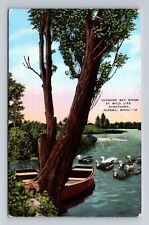 Alpena MI-Michigan, Thunder Bay River at Wild Life Sanctuary Vintage Postcard picture