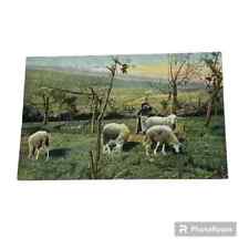 Postcard Shepherd Herding Sheep on Hillside c1908 A133 picture