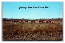 Soy Bean Harvest Greetings From New Madrid Missouri MO UNP Chrome Postcard R28 picture