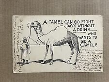 Postcard Comic Prohibition Theme Camel Antique PC picture