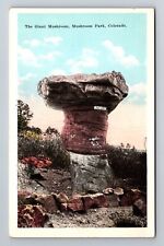 Mushroom Park CO-Colorado, The Giant Mushroom, Antique Souvenir Vintage Postcard picture