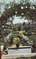 Postcard CA: California Home, Midwinter, Antique DB 1910's, Unposted picture
