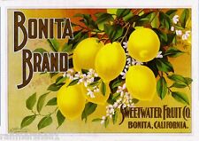 Bonita San Diego County Sweetwater Lemon Citrus Fruit Crate Label Art Print picture