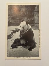 Postcard Giant Panda Pao Pei St Louis Zoo Missouri Unposted Black & White picture