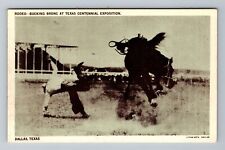 Dallas TX-Texas Cowboy Bucking Bronco TX Centennial Exposition Vintage Postcard picture
