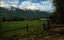 Yellowhead Route McBride British Columbia Canada ~ postcard sku221 picture