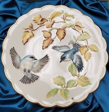 Dorothy Doughty China Plate Cerulean Warblers & Beech '80 Royal Worcester 2 Of 2 picture