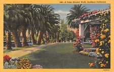 D1463 A Palm Shaded Walk, Southern California - 1941 Teich Linen PC No. 1B-H2161 picture