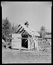 Orville White building a small shed on his farm near Northome, Minnesota picture