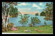 1940s Roberts Cove Lake Winnipesaukee New Hampshire Linen Secnic Postcard 235 picture