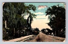 Bradenton FL-Florida, Residential District, Manatee Avenue Vintage Postcard picture