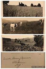 c1925 Three Views of Harvey Brown’s Farm in Sherburne NY New York Original RPPCs picture