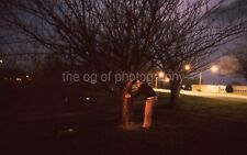 Vintage 35mm FOUND SLIDE Transparency FIRST TRY AT A TREE HUG Photo MAN 02 T 5 K picture