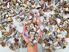 Exotic Crystals Sluice Mix Tiny Crushed Natural Crystal Rocks & Tumbling Stones picture