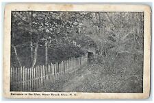 c1910's Entrance To The Glen Stony Brook Glen New York NY Posted Trees Postcard picture