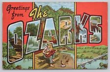 Springfield Missouri, Large Letter Greetings Ozarks Hillbilly, Vintage Postcard picture