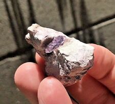 Unique Purple Fluorite Clear Crystal Point Host Rock Pyrite Mirrors Energy Dome picture