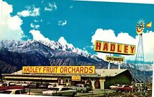VTG Postcard- Hadley Fruit Orchards Shop, Cabazon, CA Unused 1960 picture