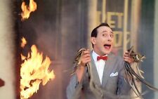 Paul Reubens as Pee Wee Herman Publicity Picture Poster Photo Print 8x10 picture
