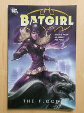 Batgirl: the Flood picture