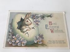 Best Easter Wishes Large Bunny Cracking out of Egg Vintage Postcard picture