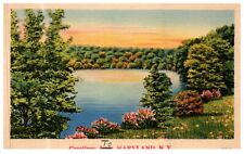 NY Maryland Greetings Landscape Posted 1944 Vintage Linen Postcard-Z2-292 picture