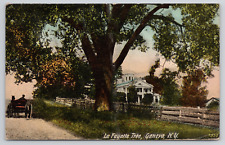 Lafayette Tree Geneva New York Washington Stamp Antique c1920 Postcard - Posted picture