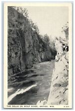 c1940's The Dells on Wolf River Antigo Wisconsin WI Vintage Clear View Postcard picture