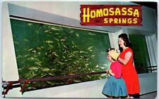 Postcard - Nature's Fishbowl Springs - Homosassa Springs, Florida, USA picture