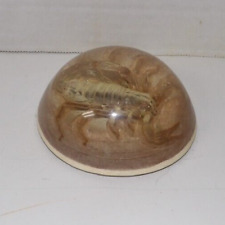 Paperweight Vintage Clear Lucite With A Scorpion Underneath. picture